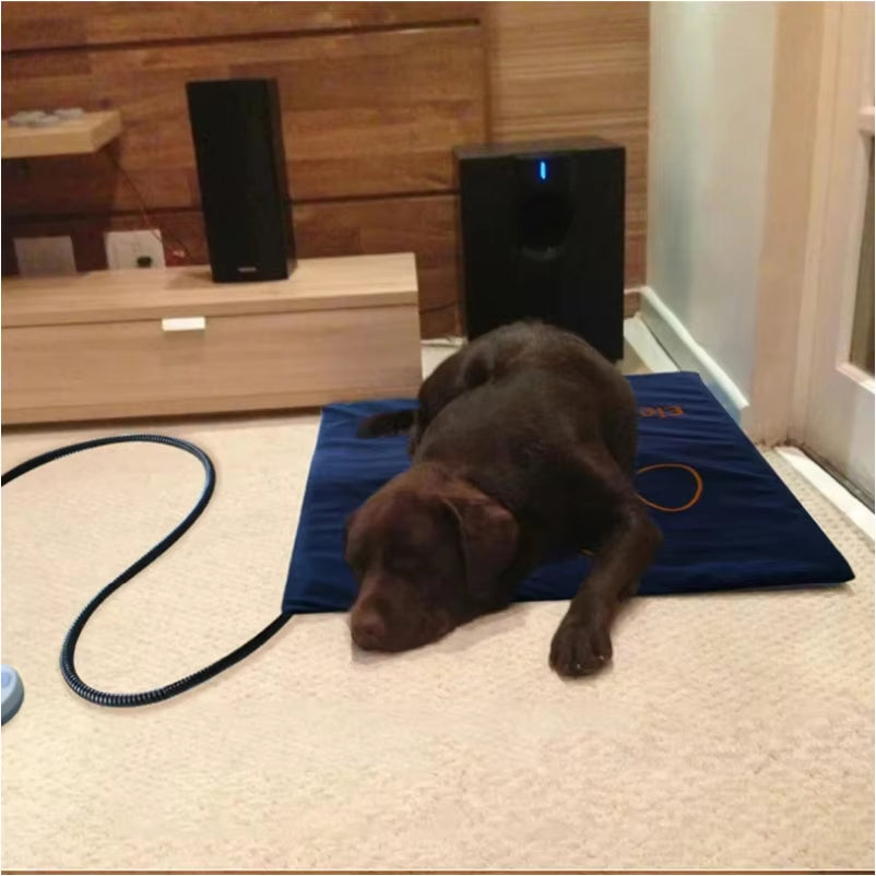 Waterproof Pet Heating Pad Electric Blanket Dog Cat Winter Warmer Pad 45×60Cm Adjustable Temperature Dog Mattress US/UK/EU