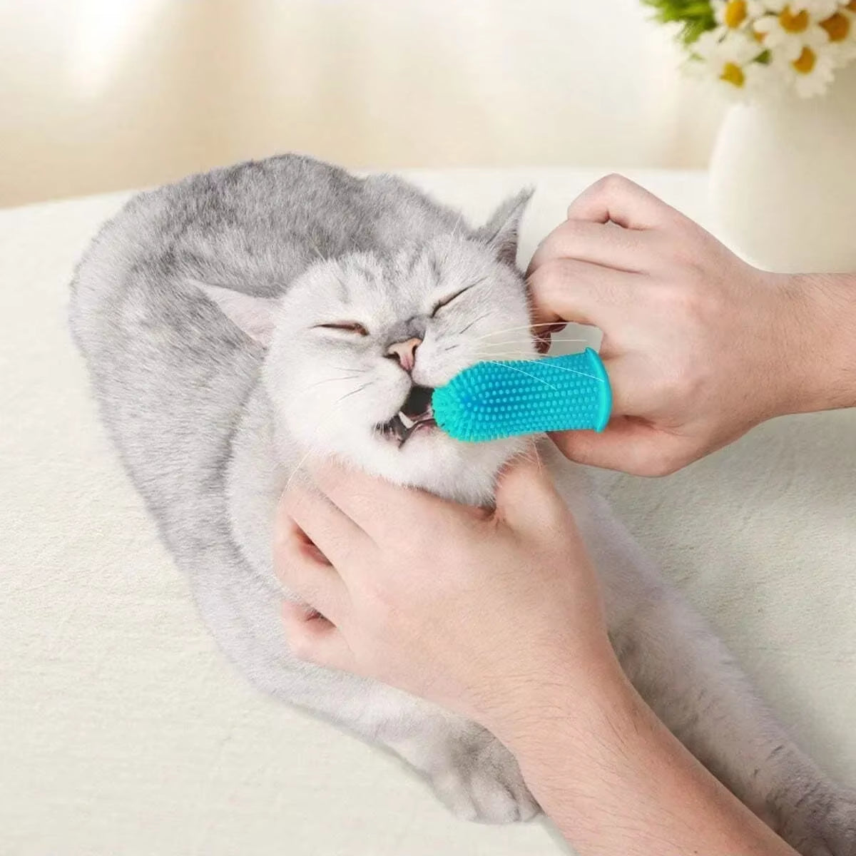 2/5Pcs Dog Toothbrush , Super Soft Nontoxic Silicone Dog Finger Toothbrush, Dog Cat Puppy Toothbrush for Teeth Cleaning