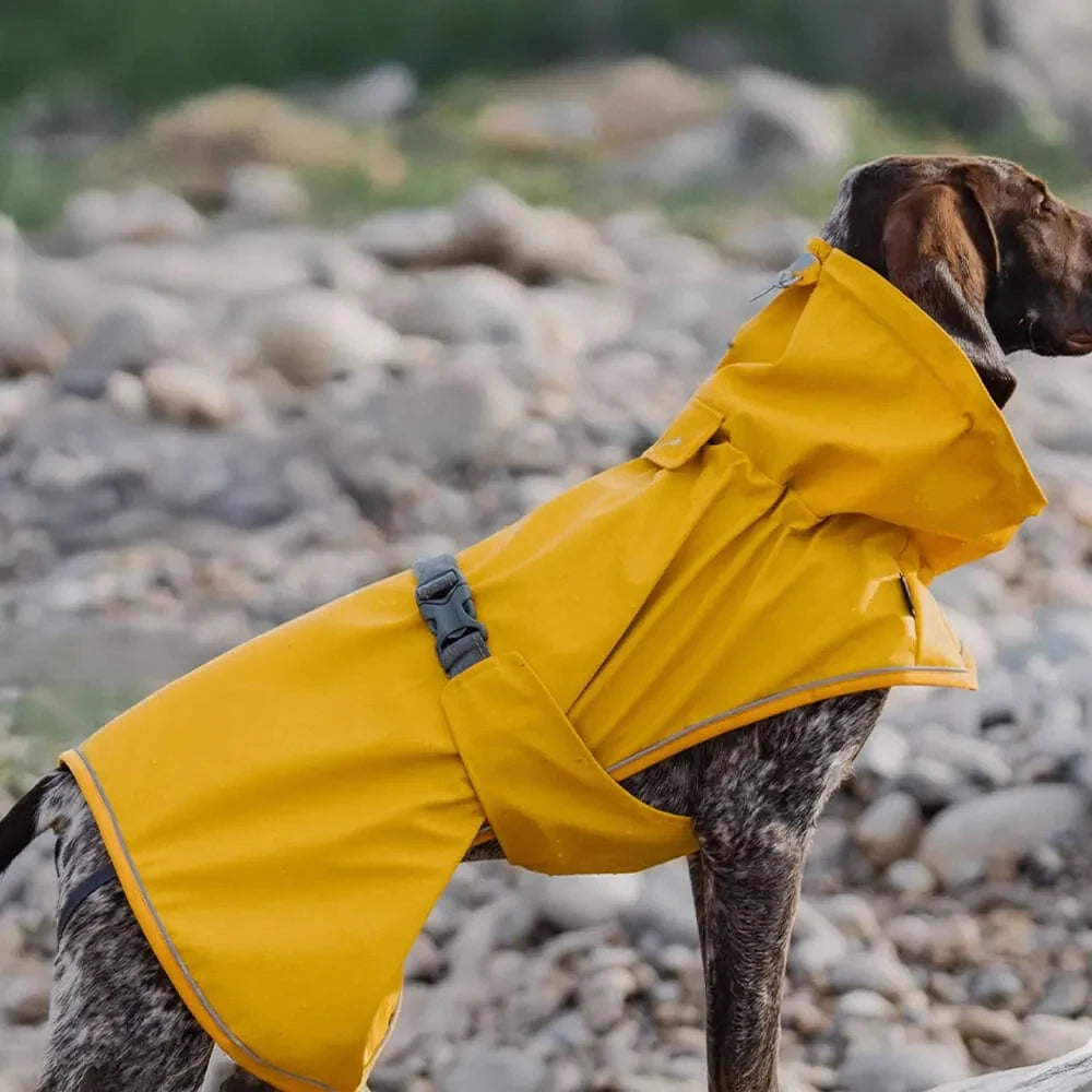 Blackdoggy Pet Series Halloween Outdoor Dog Walking Cloak Raincoat Puffer Jacket for Medium Large Dogs New Year'S Classics For