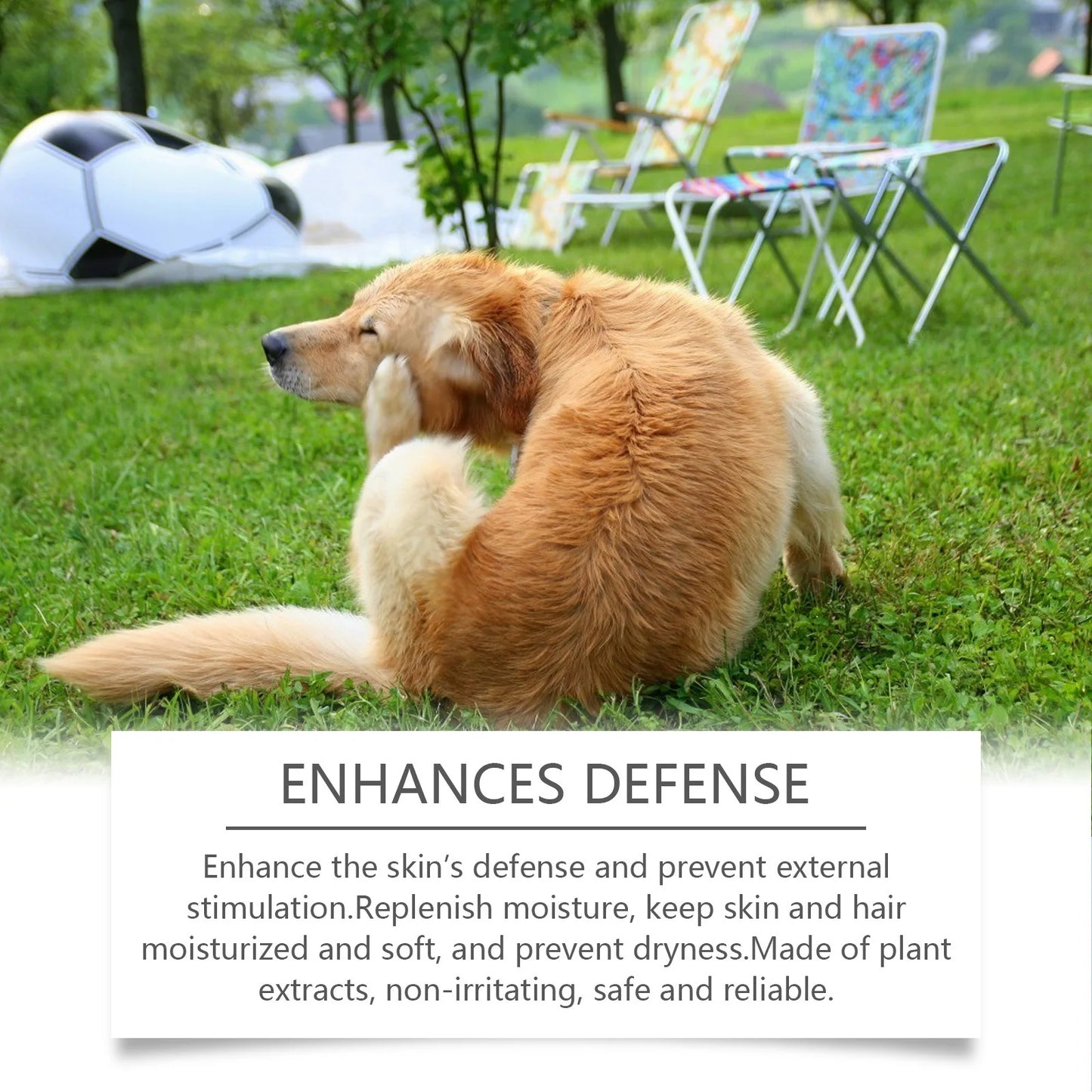 Dog Shampoo Conditioner Moisturizing for Sensitive Skin PH Balanced anti Itching Flea Killer Dirt Mite Removal Pet Cleaning Foam