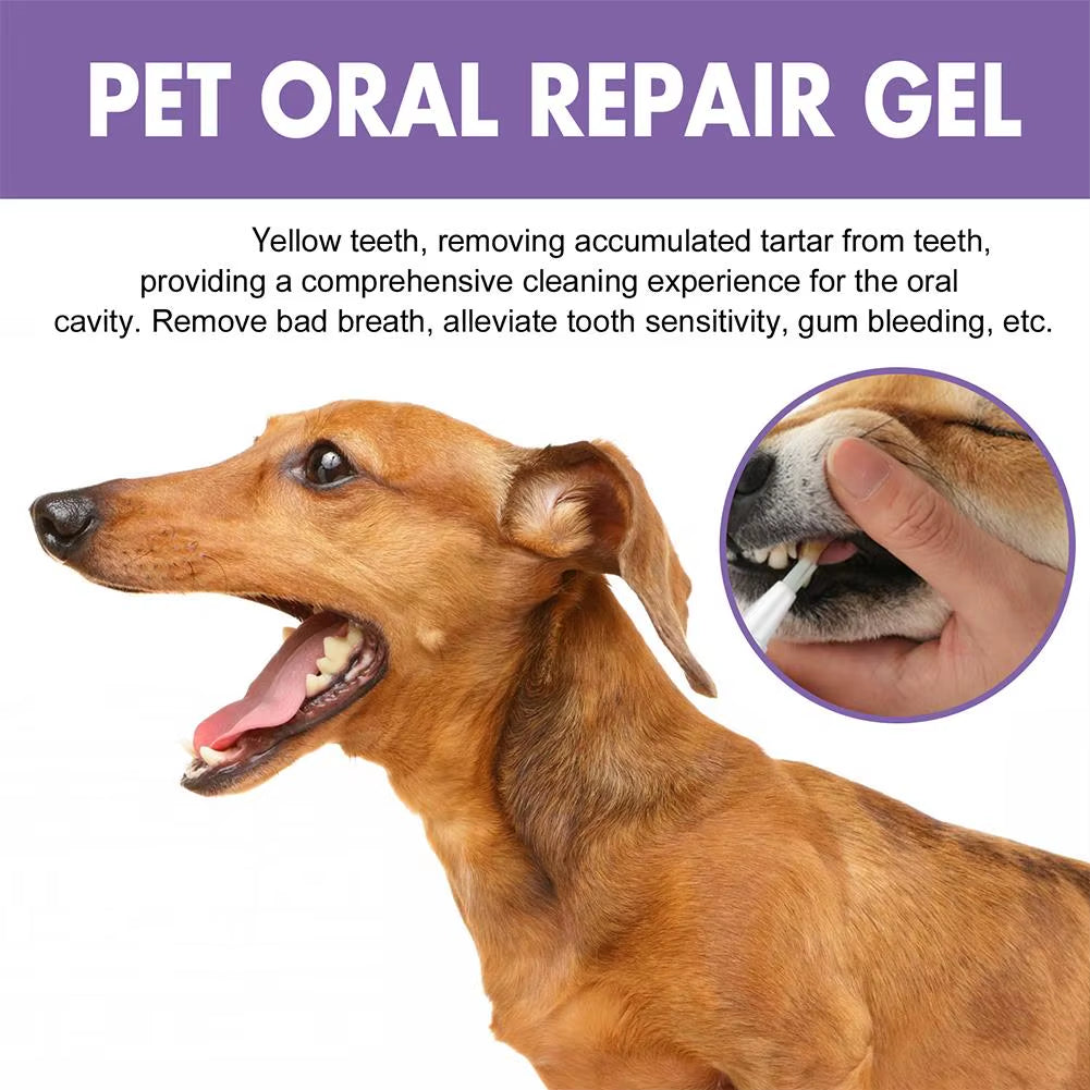 Pet Oral Repair Gel Tooth Repair Teeth Brushing Cleaner Natural Dog Toothpaste Gel for Kitten Dogs Cats Breath Freshener Gel